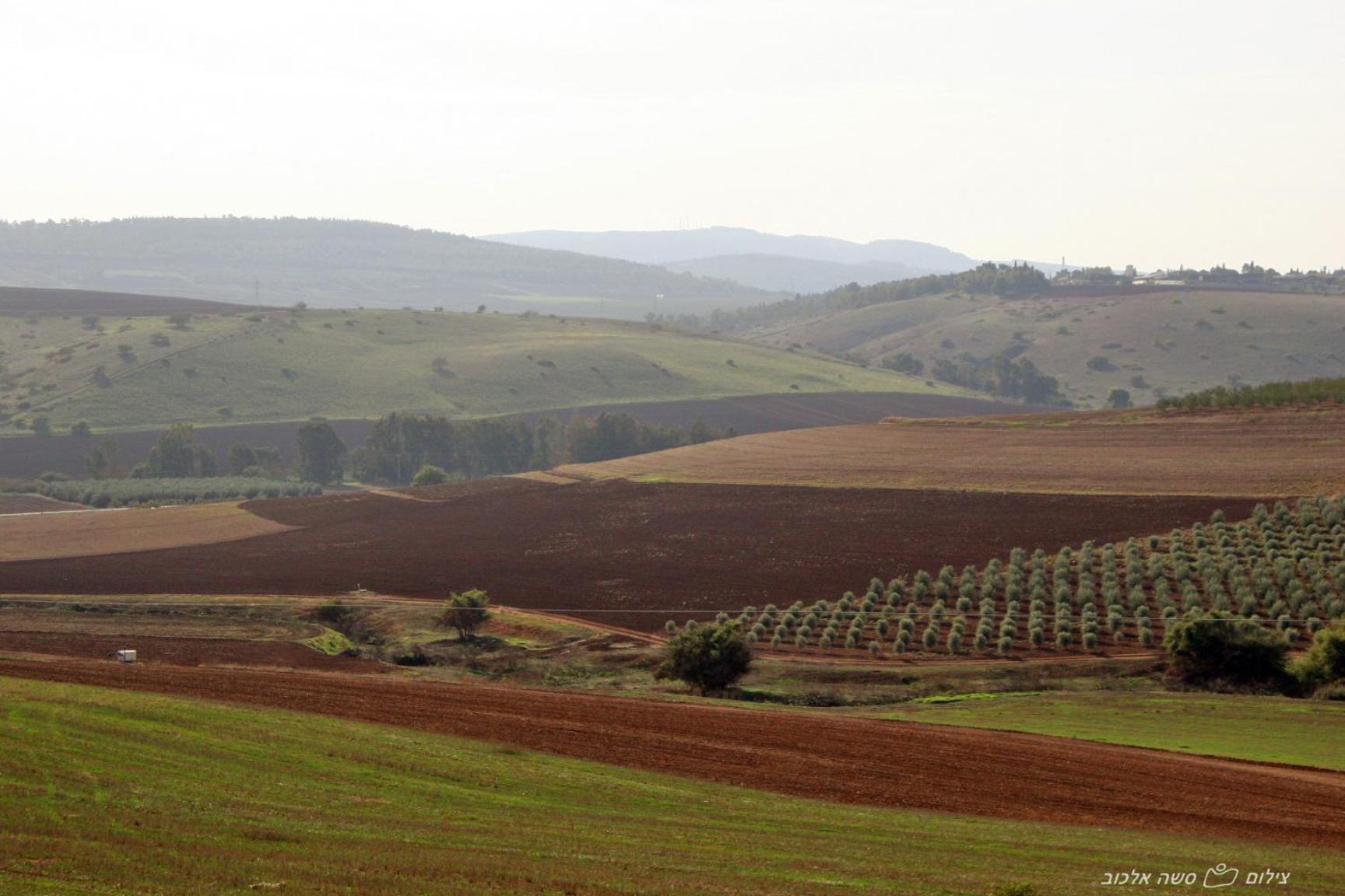 Villa Noach Batavor Kefar Kish Esterno foto